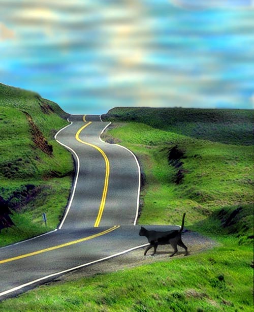 Photoshop Design by tysu for DesignCrowd (Community Contests) | Design #9147459