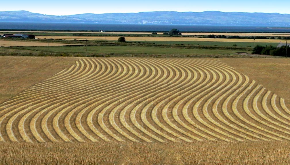 Diseño de Photoshop por eti para DesignCrowd (Community Contests) | Diseño #9153973