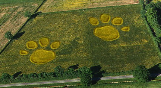 Photoshop Design by Nicoley for DesignCrowd (Community Contests) | Design #9154053