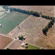 Photoshop Design by connell