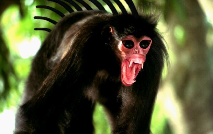 Design Photoshop par Roberto pour DesignCrowd (Community Contests) | Design #9154849