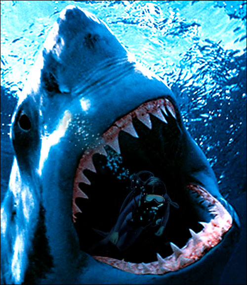 Photoshop Design by nautiq for DesignCrowd (Community Contests) | Design #9154867