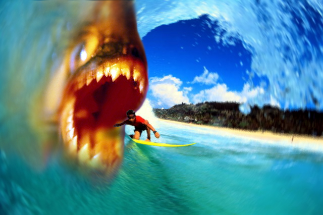 Photoshop Design by stylin for DesignCrowd (Community Contests) | Design #9154939