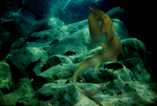 Photoshop-Design von Ranger_Rick für DesignCrowd (Community Contests) | Design #9154921