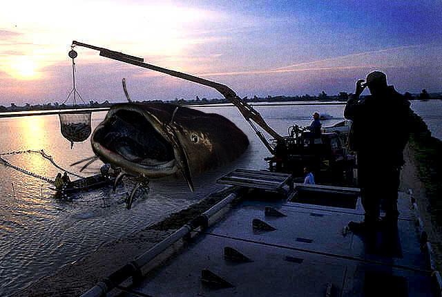 Photoshop Design by Isam for DesignCrowd (Community Contests) | Design #9154930