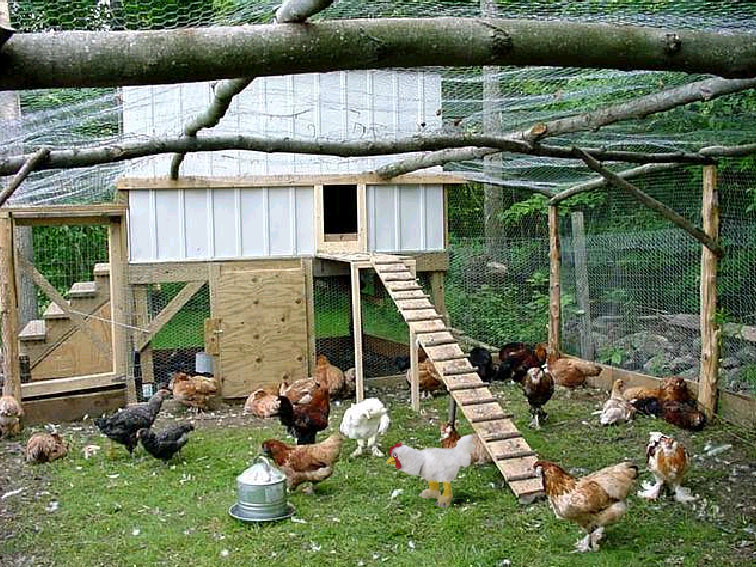 Photoshop Design by craigpeace for DesignCrowd (Community Contests) | Design #9153431