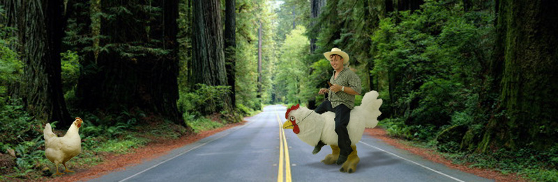 Photoshop Design by Tweezer for DesignCrowd (Community Contests) | Design #9153440