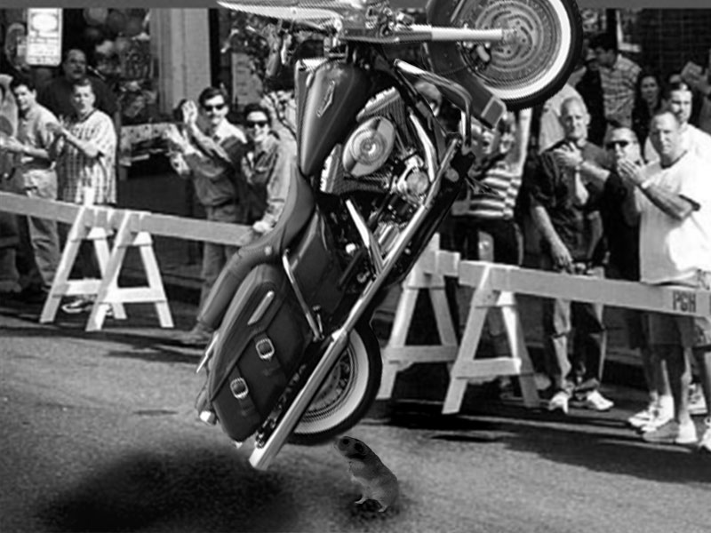 Photoshop-Design von quack_head für DesignCrowd (Community Contests) | Design #9153961