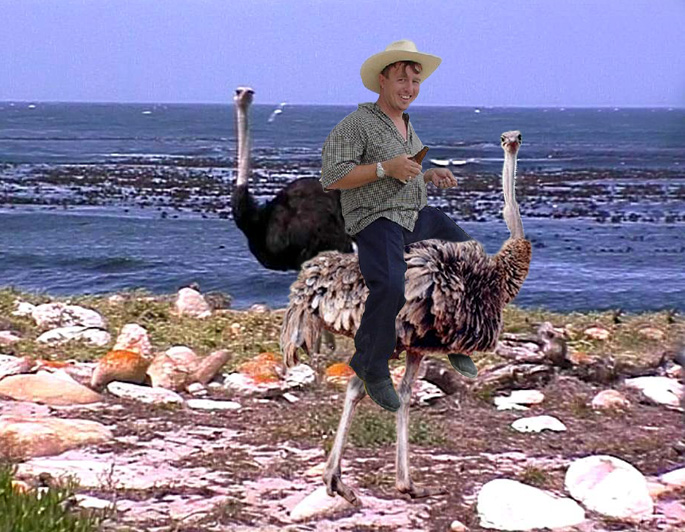 Diseño de Photoshop por silverhead para DesignCrowd (Community Contests) | Diseño #9153446