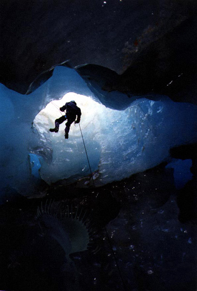 Diseño de Photoshop por connell para DesignCrowd (Community Contests) | Diseño #9154983