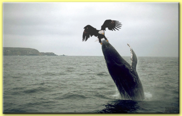 Photoshop-Design von Ranger_Rick für DesignCrowd (Community Contests) | Design #9154022