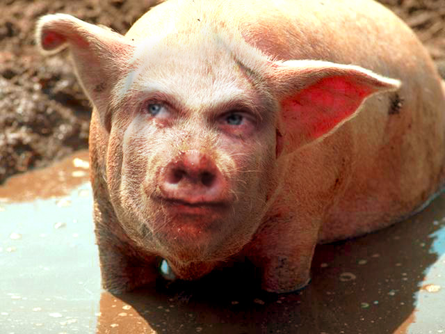 Diseño de Photoshop por sieco para DesignCrowd (Community Contests) | Diseño #9153540