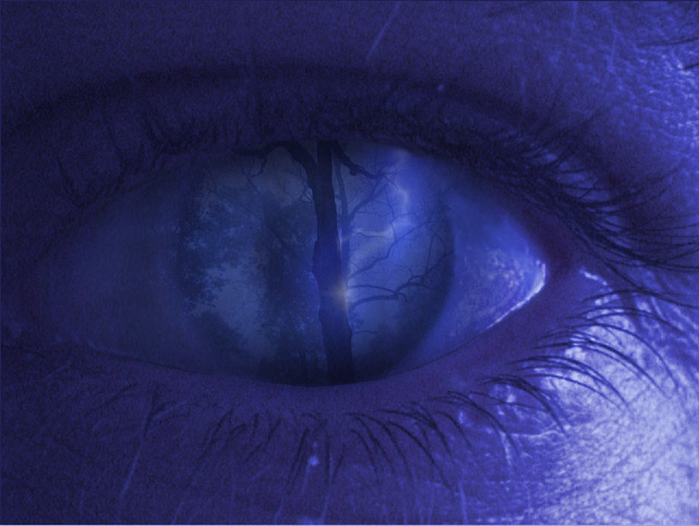 Photoshop Design by Twared for DesignCrowd (Community Contests) | Design #9153853