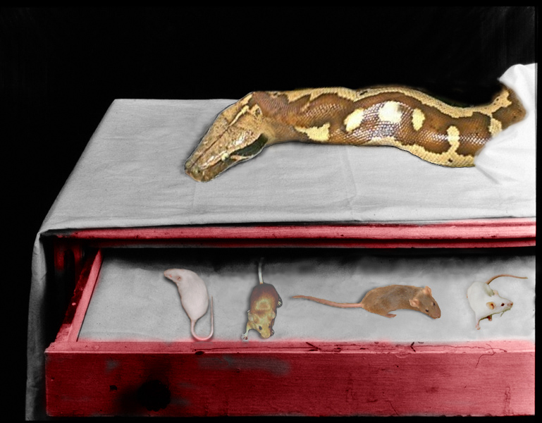 Photoshop-Design von viscera für DesignCrowd (Community Contests) | Design #9147583