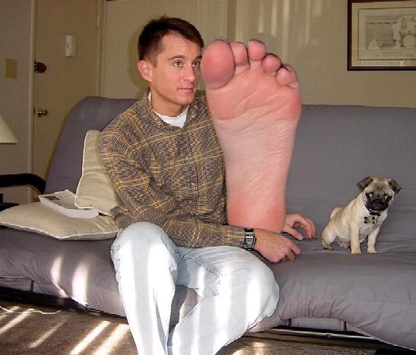 Design Photoshop par Roberto pour DesignCrowd (Community Contests) | Design #9155106