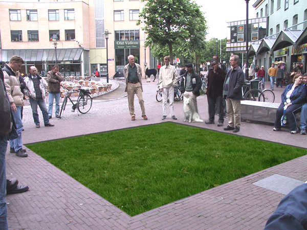 Photoshop-Design von Shrike für DesignCrowd (Community Contests) | Design #9153073