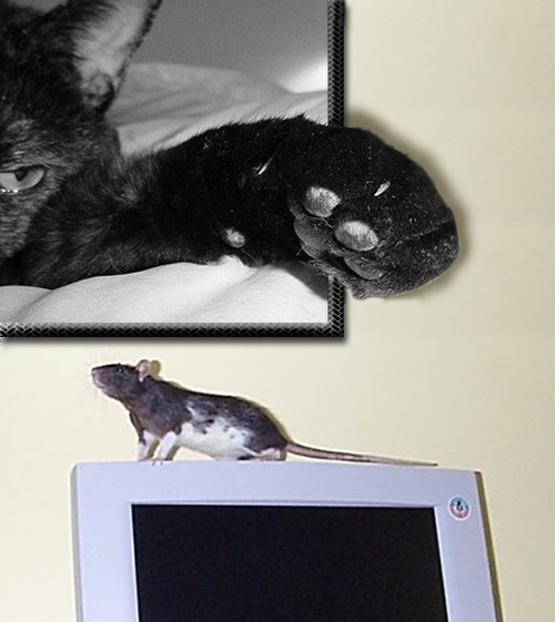 Photoshop-Design von seeker für DesignCrowd (Community Contests) | Design #9153582