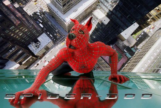 Photoshop-Design von Binder für DesignCrowd (Community Contests) | Design #9151175