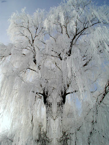 Photoshop-Design von seeker für DesignCrowd (Community Contests) | Design #9134392