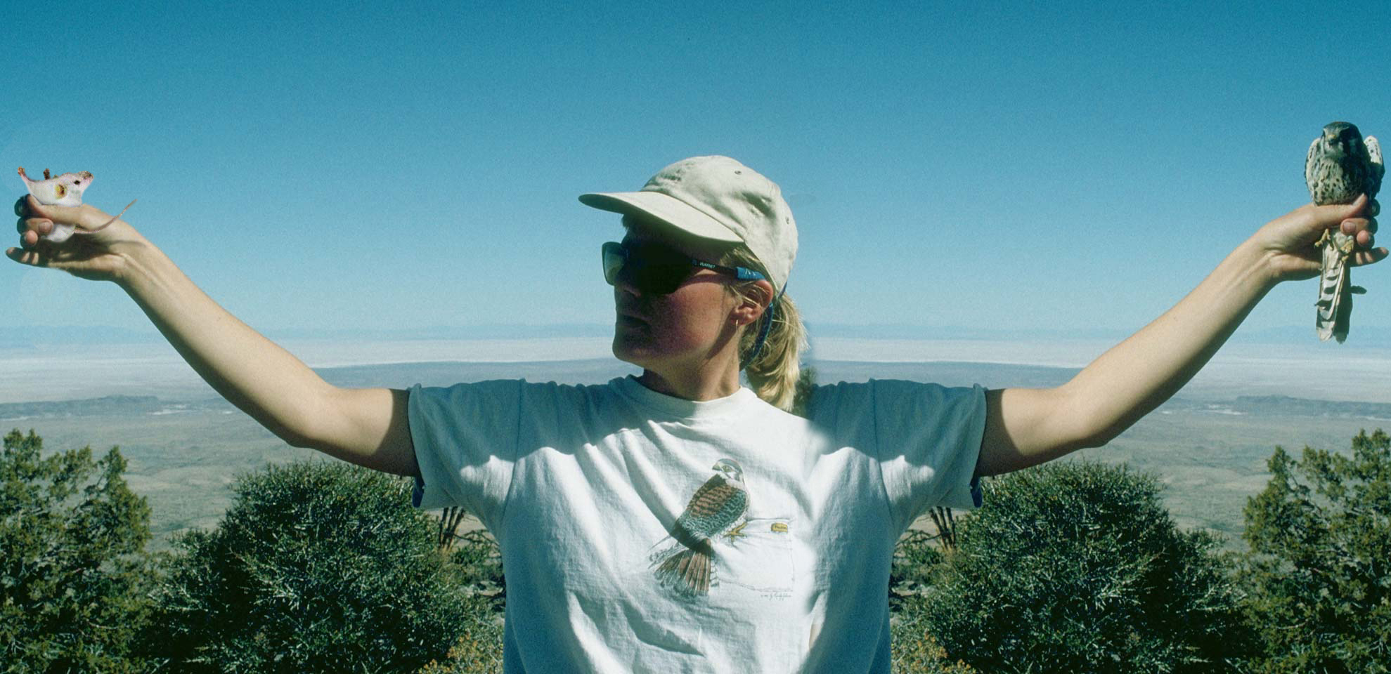 Photoshop Design by gene for DesignCrowd (Community Contests) | Design #9134471