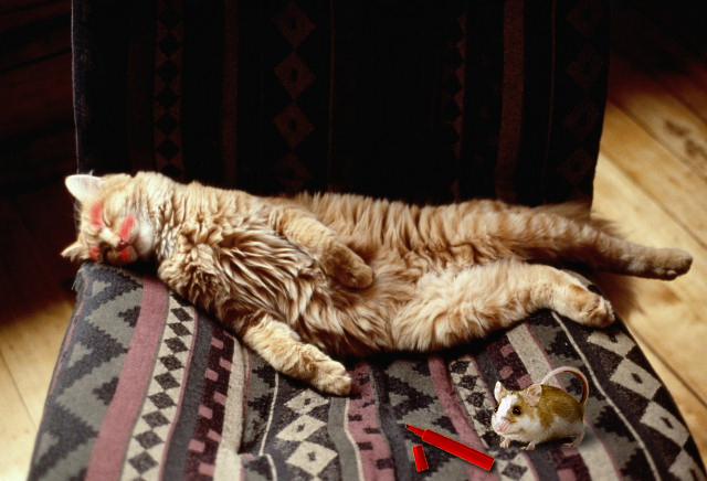 Photoshop Design by Tweezer for DesignCrowd (Community Contests) | Design #9133254