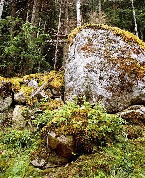 Diseño de Photoshop por Cyn para DesignCrowd (Community Contests) | Diseño #9154919