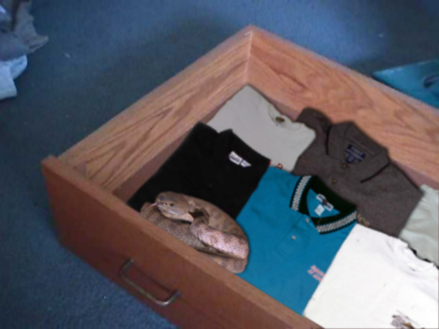 Design Photoshop par Sh3kel pour DesignCrowd (Community Contests) | Design #9131912