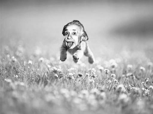 Photoshop Design by RatJew for DesignCrowd (Community Contests) | Design #9146718