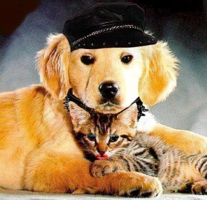 Design Photoshop par Roberto pour DesignCrowd (Community Contests) | Design #9151988