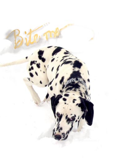 Photoshop Design by tysu for DesignCrowd (Community Contests) | Design #9151992