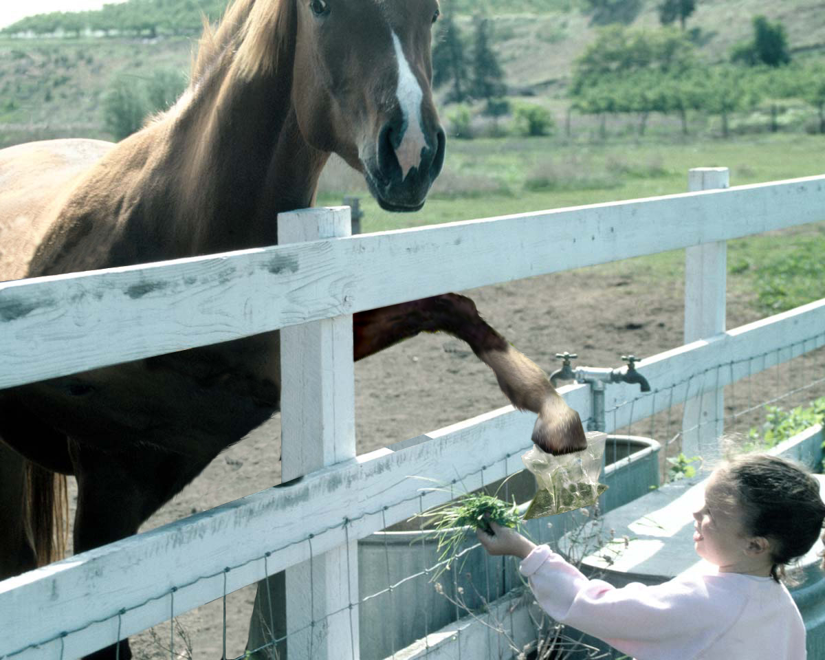 Photoshop Design by gene for DesignCrowd (Community Contests) | Design #9152055