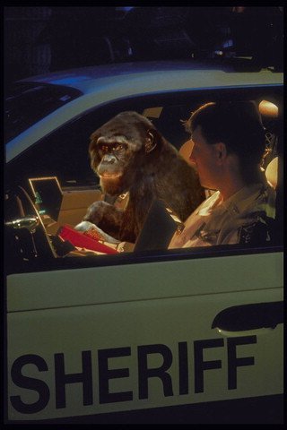 Photoshop Design by Bigpeeler for DesignCrowd (Community Contests) | Design #9152057