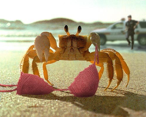 Photoshop Design by Puffnasty for DesignCrowd (Community Contests) | Design #9152077