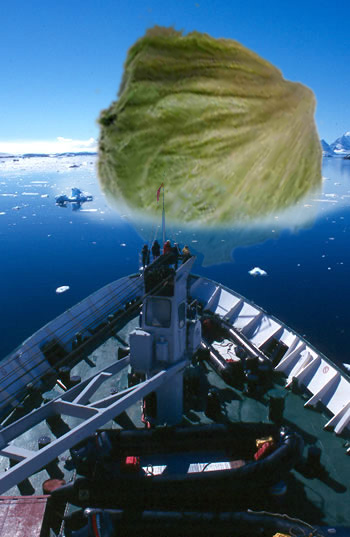 Photoshop-Design von SurrealSam für DesignCrowd (Community Contests) | Design #9132339