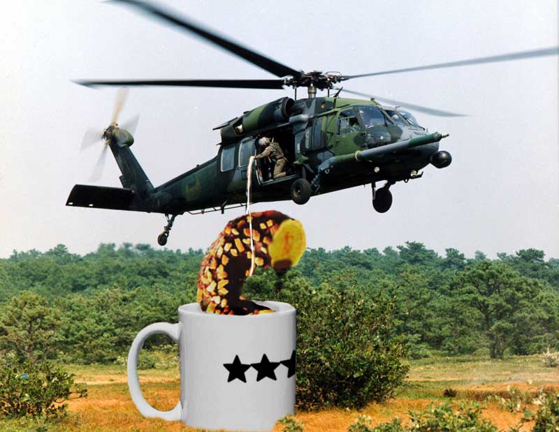 Photoshop Design by gunmetal for DesignCrowd (Community Contests) | Design #9132371