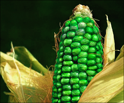 Photoshop Design by nautiq for DesignCrowd (Community Contests) | Design #9132390