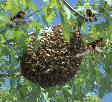 Photoshop-Design von Lockspro für DesignCrowd (Community Contests) | Design #9150212