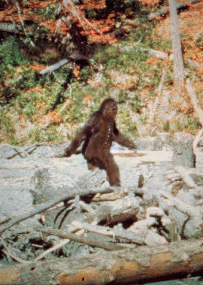 Photoshop Design by Phantazmo for DesignCrowd (Community Contests) | Design #9142745