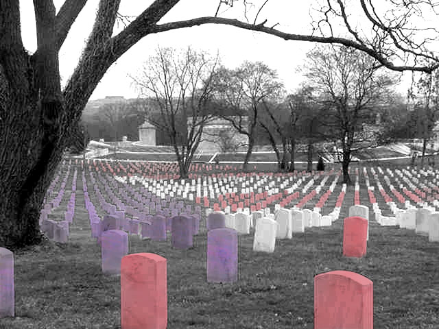 Photoshop Design by satyricon for DesignCrowd (Community Contests) | Design #9149951