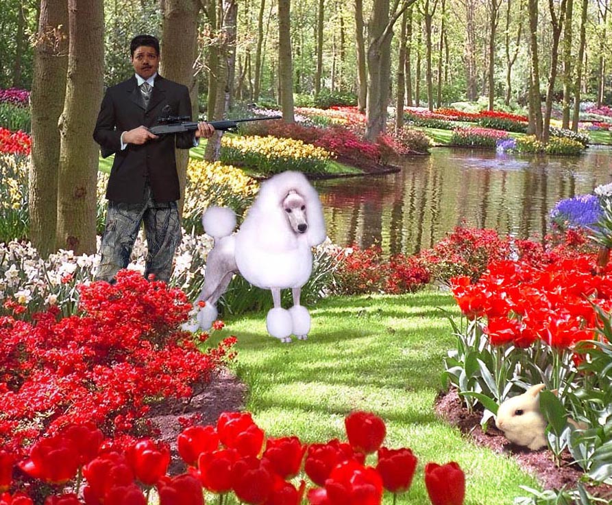 Design Photoshop par danceswithcameras pour DesignCrowd (Community Contests) | Design #9146288