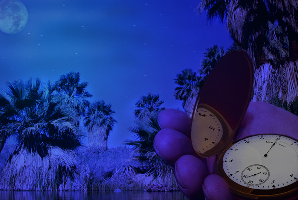 Photoshop-Design von Flippant für DesignCrowd (Community Contests) | Design #9153619