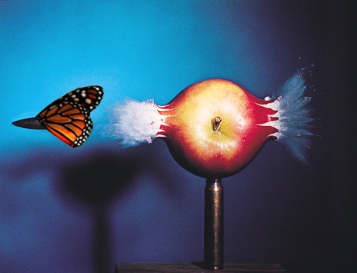 Photoshop Design by MrNelson for DesignCrowd (Community Contests) | Design #9153626