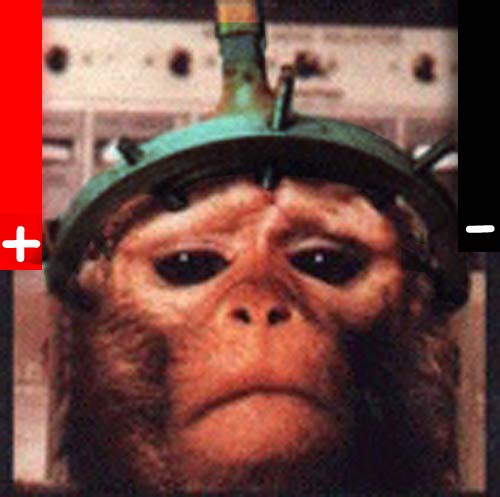 Photoshop-Design von quack_head für DesignCrowd (Community Contests) | Design #9153747