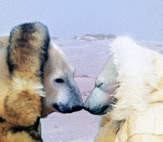 Photoshop Design by Simpletonic for DesignCrowd (Community Contests) | Design #9154736