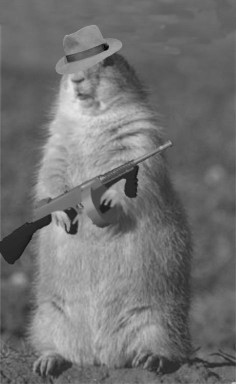 Diseño de Photoshop por Nicoley para DesignCrowd (Community Contests) | Diseño #9154799