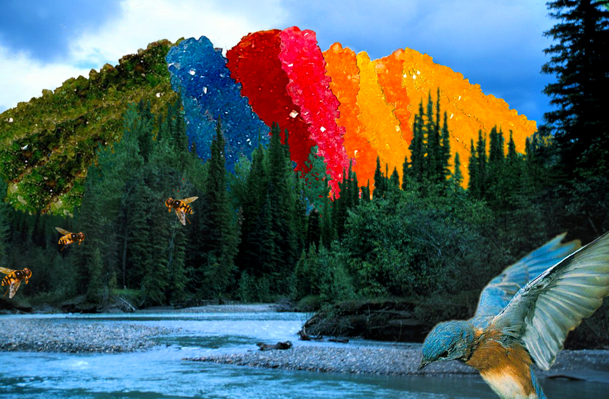 Photoshop Design by ccbelly for DesignCrowd (Community Contests) | Design #9153828