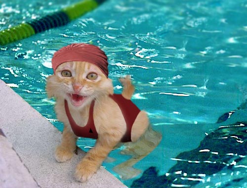 Photoshop Design by Puffnasty for DesignCrowd (Community Contests) | Design #9154787