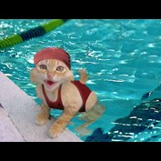 Photoshop Design by Puffnasty