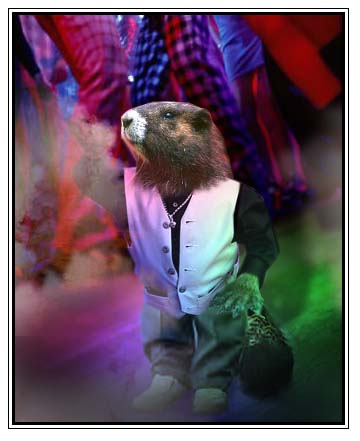 Photoshop-Design von Bluefist für DesignCrowd (Community Contests) | Design #9154825