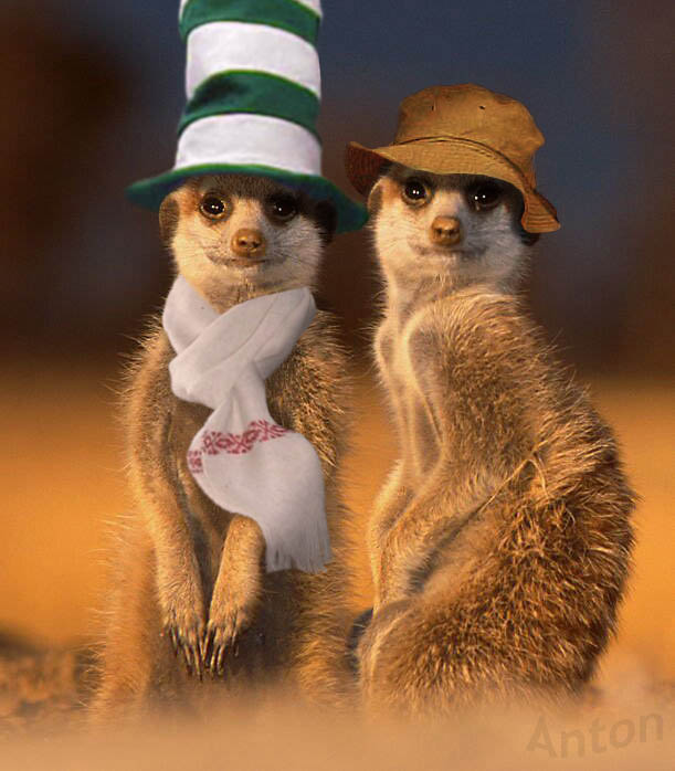 Photoshop Design by Anton for DesignCrowd (Community Contests) | Design #9154766